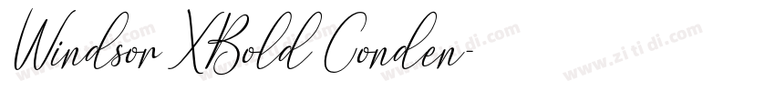 Windsor XBold Conden字体转换 Windsor XBold Conden字体转换